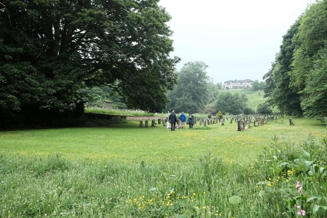 Photograph of the existing burial ground from the new extension